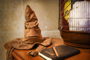 HARRY POTTER - Le Logis du petit sorcier - Expérience Magique à Carcassonne